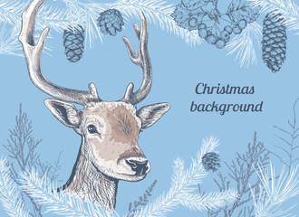 Christmas and New Year background with deer, different branches and cones. Fir tree, cedar, pine, arborvitae, hawthorn. Hand drawn sketch. Design for greeting cards, calendars, banners, invitations