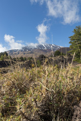 Etna Landscape