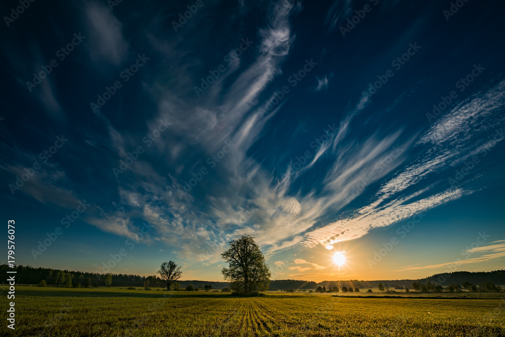 Wall mural morning sunrise and a beautiful landscape with fresh grass and trees