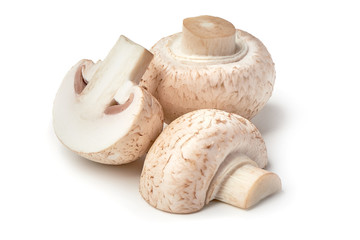 Champignons, close-up, isolated on white background.