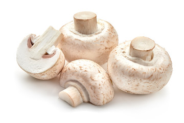 Champignons, close-up, isolated on white background.