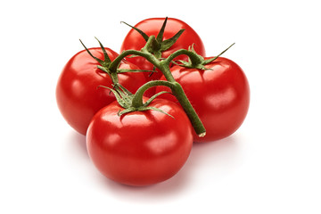 Fresh red tomatoes with green branch, isolated on white background.