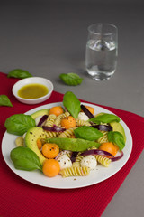 pasta salad consisting of fusili with mozzarella and melon with avocado and red onions