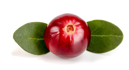 Cranberry with leaf isolated on white background closeup macro