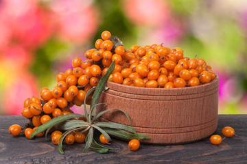 Sea-buckthorn berries in a wooden bowl on table with blurred garden background