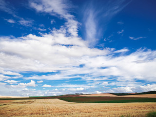 Obraz premium campo de labranza