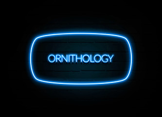Ornithology  - colorful Neon Sign on brickwall