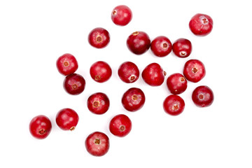 Cranberry isolated on white background closeup top view