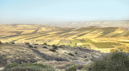 Fototapeta premium Jordan Valley
