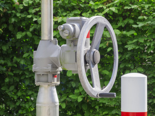 Handwheel in front of green leaves_near
