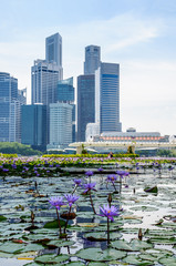 Baie de Singapour