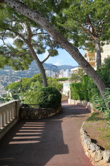 Alley in the park of Monaco