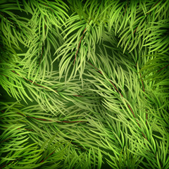 Christmas background from fir tree branches. EPS 10 vector