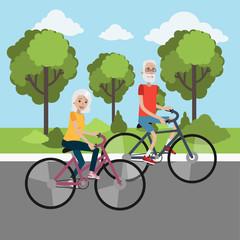 Elderly couple cycling.