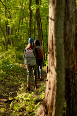 Two women backpackers hiking in a forest