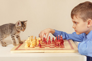 Little grandmaster with a cute kitten plays chess.