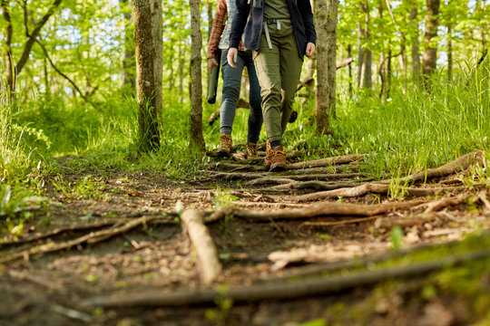 Two women hiking along a forest footpath