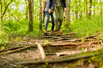 Two female hikers walking along a forest footpath