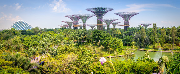 Fototapeta premium Jardins de Singapour