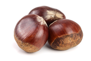 fresh edible chestnut isolated on white background