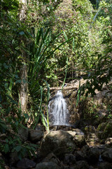 waterfall in the tropical jungles of South East Asia