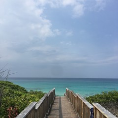 Obraz premium 海へと続く道 〜a path to the ocean 〜