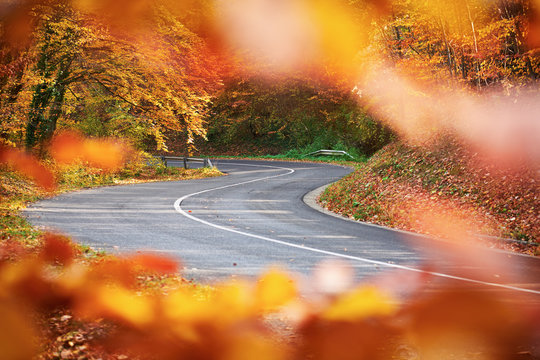 Mountain Road trough autumn forest 