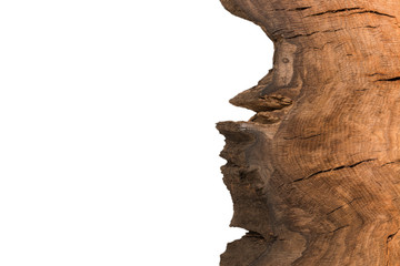 Cross section of tree stump isolated on white background