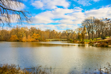Obraz premium View of Central Park