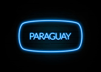 Paraguay  - colorful Neon Sign on brickwall