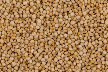 Quinoa seeds close up