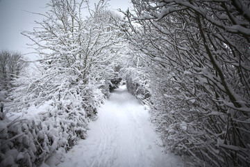 Fototapeta premium Snow on path