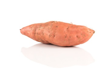 Sweet potato on the white background