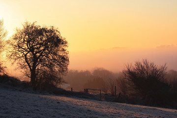 Frosty morning sunrise