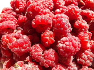 raspberry