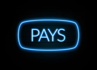 Pays  - colorful Neon Sign on brickwall