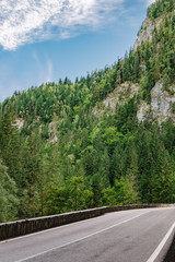 No cars, auto on asphalt road through cliffs and pine forest at the Bicaz Gorge in Carpathians, Romania