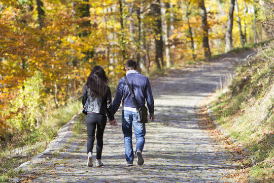 Young couple walking in a park in autumn forest