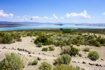 Mono Lake, a large, shallow saline soda lake in Mono County, California, with tufa rock formations