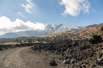 Etna Landscape