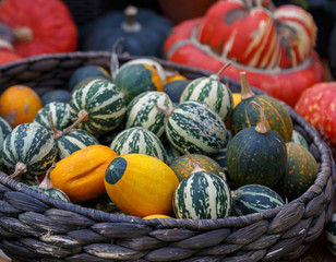 bright autumn