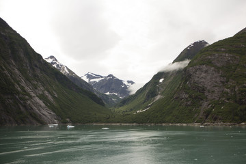 Tracy Arm Fjord 1
