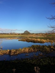 Marshes of the countryside