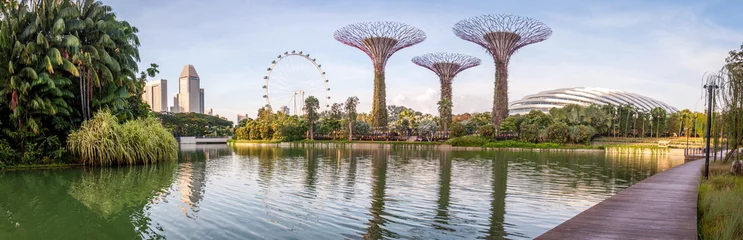 Crédence de cuisine en verre imprimé Singapour Jardins de Singapour