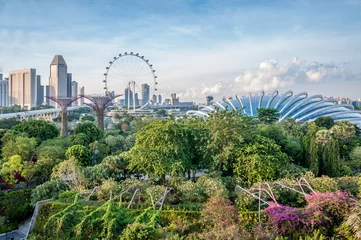 Abwaschbare Fototapete Singapur Gärten von Singapur