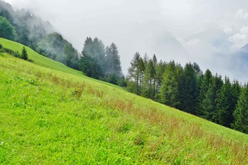 Shades of green in the Alps mountains in the principality of Liechtenstein