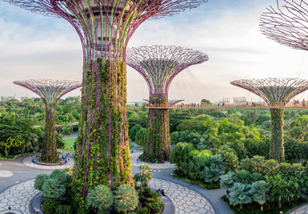 Naklejka premium Jardins de Singapour
