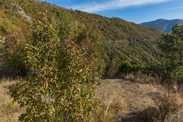Fototapeta na wymiar Autumn landscape of the Vacha (Antonivanovtsy) Reservoir, Rhodopes Mountain, Bulgaria
