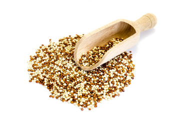 Roter und Weißer quinoa isoliert freigestellt auf weißen Hintergrund, Freisteller Holzschaufel