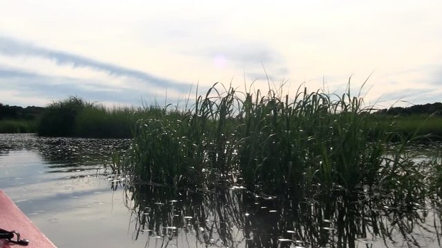 Kayaking salt water estuary marsh